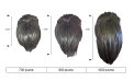 sito_tomada_cremisi_014004007.jpg